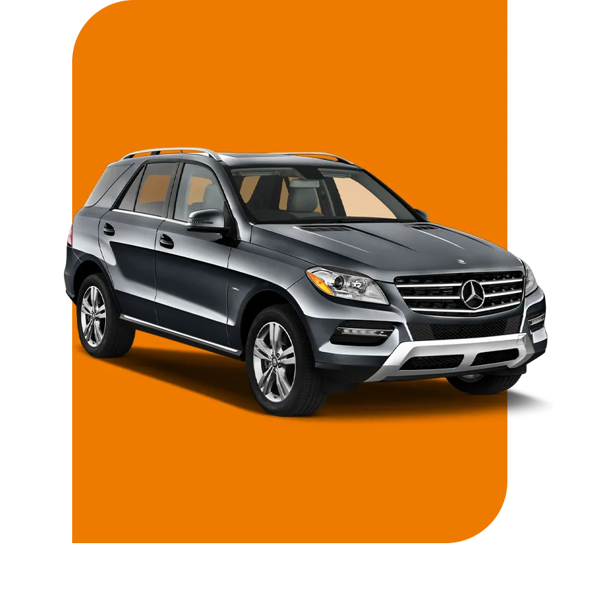 automov.webp